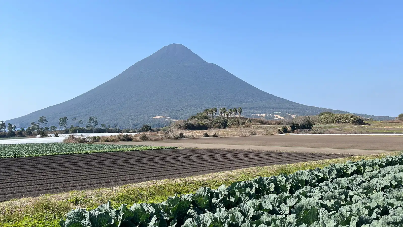 Product sourcing background showing marine logistics supply environment