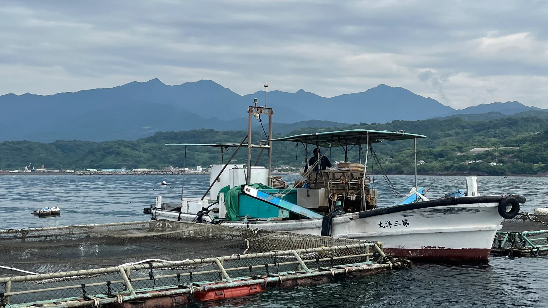 Fresh food supplies and packaged marine goods arranged for vessel provisioning